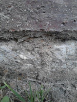 Termite Tube on Foundation